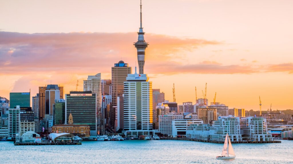 Best Branding Design Agencies in Auckland
